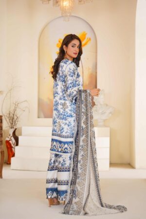 Alternative view of Printed shamoz silk with Apple silk Dupata